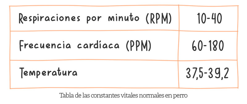 constantes vitales perro